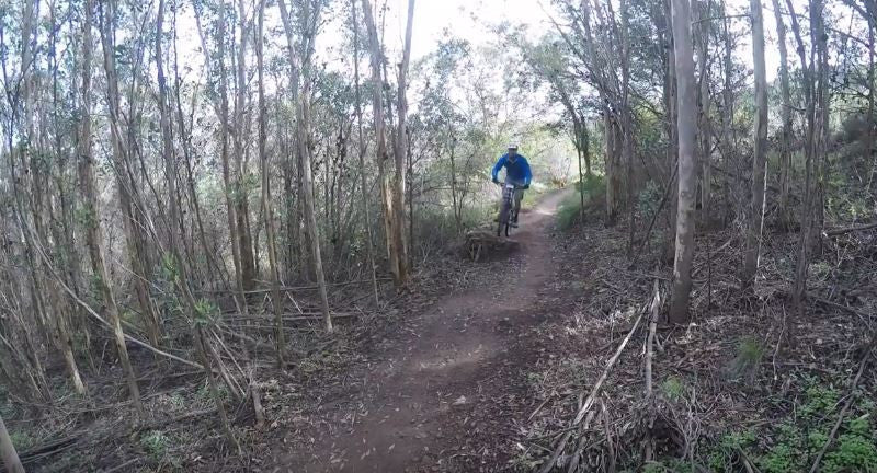 Bloemendal mtb trail online
