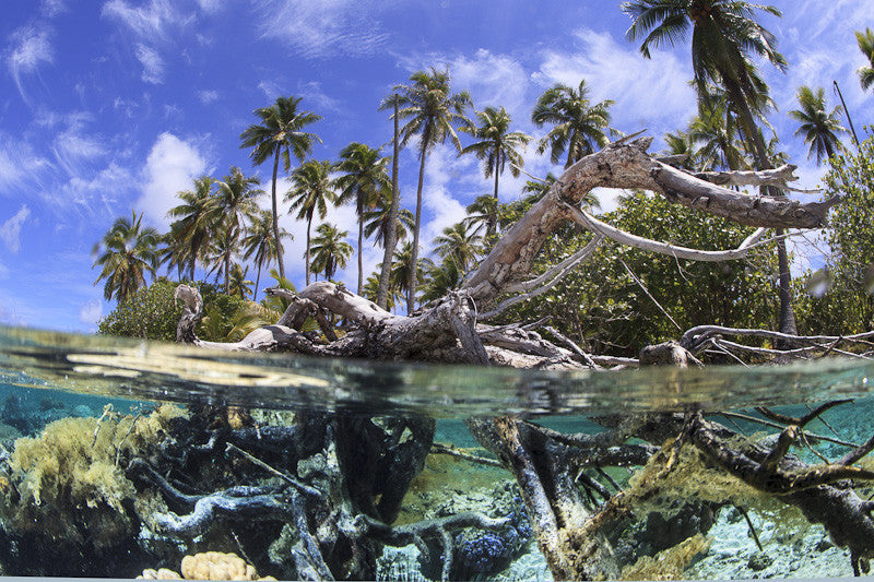 18 Epic Over-Under Photographs – Action Gear