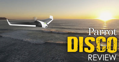 The Parrot Disco: Review