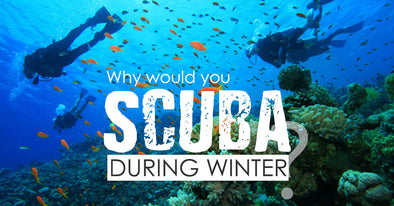 Why Would You Scuba In Winter?