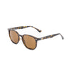D'Arcs Cali Sunglasses - lifetstyle polarized - brown