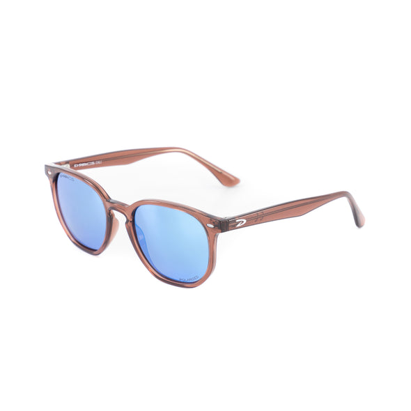 D'Arcs Cali Sunglasses - lifestyle polarized - brown